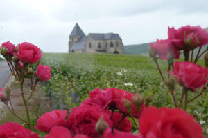 Champagne-Landschaft